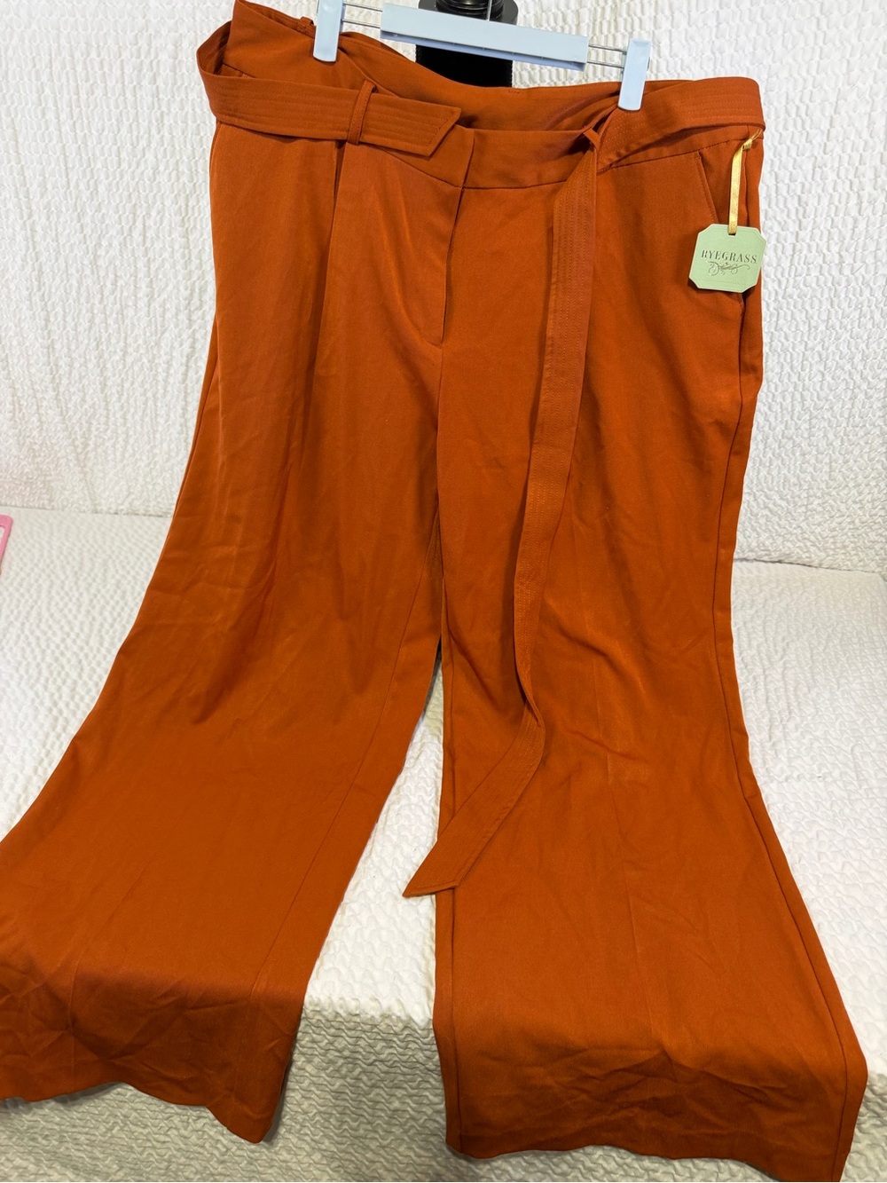 Ankle-Length Wide Leg Pants in Rust - Brand: Everlane
